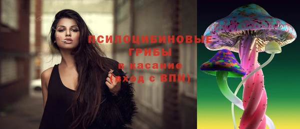 кокаин Богданович