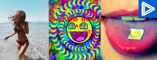 PSILOCYBIN Бородино