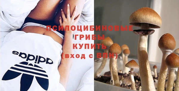 кокаин Богданович